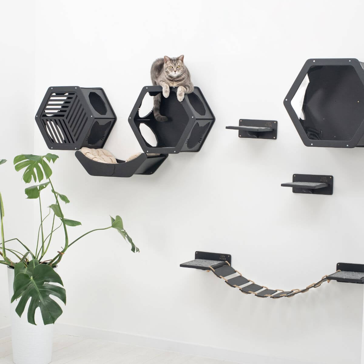 Curved Wall-Mounted Cat Bed, Black
