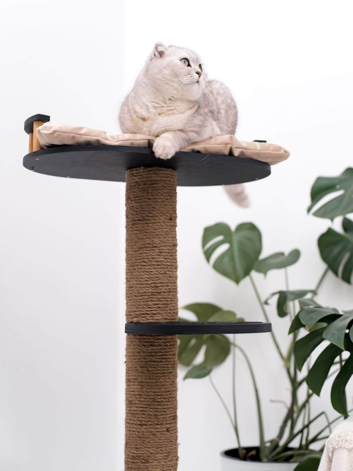 Wooden Cat Tree with Scratching Post and Cushion