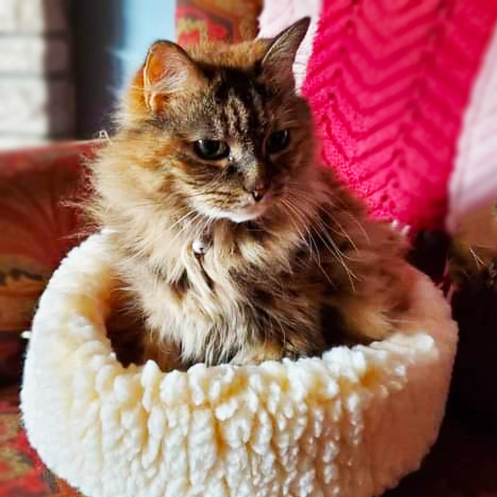 HuggleSnuggler Cat & Small Dog Bed