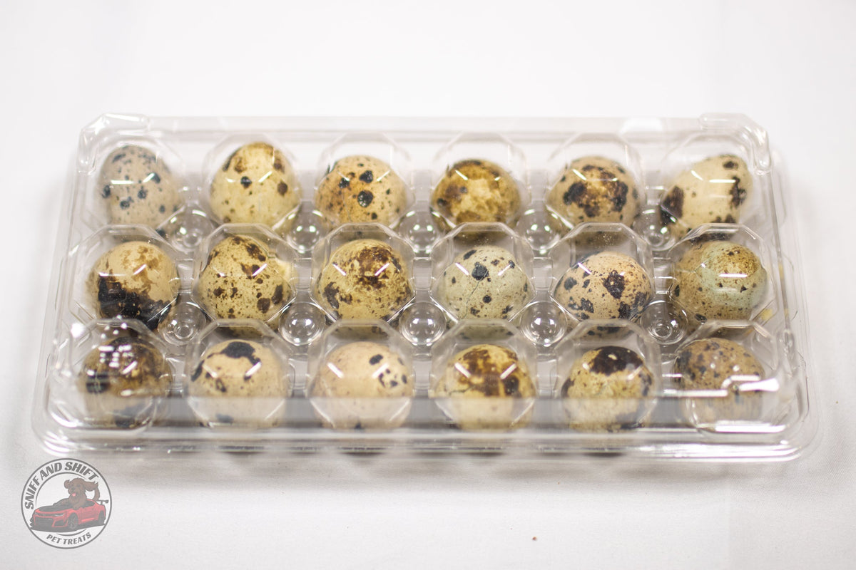 Freeze-Dried Whole Quail Eggs for Dogs and Cats