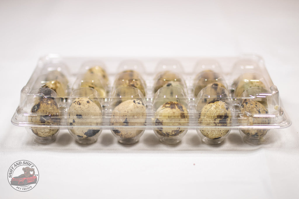 Freeze-Dried Whole Quail Eggs for Dogs and Cats