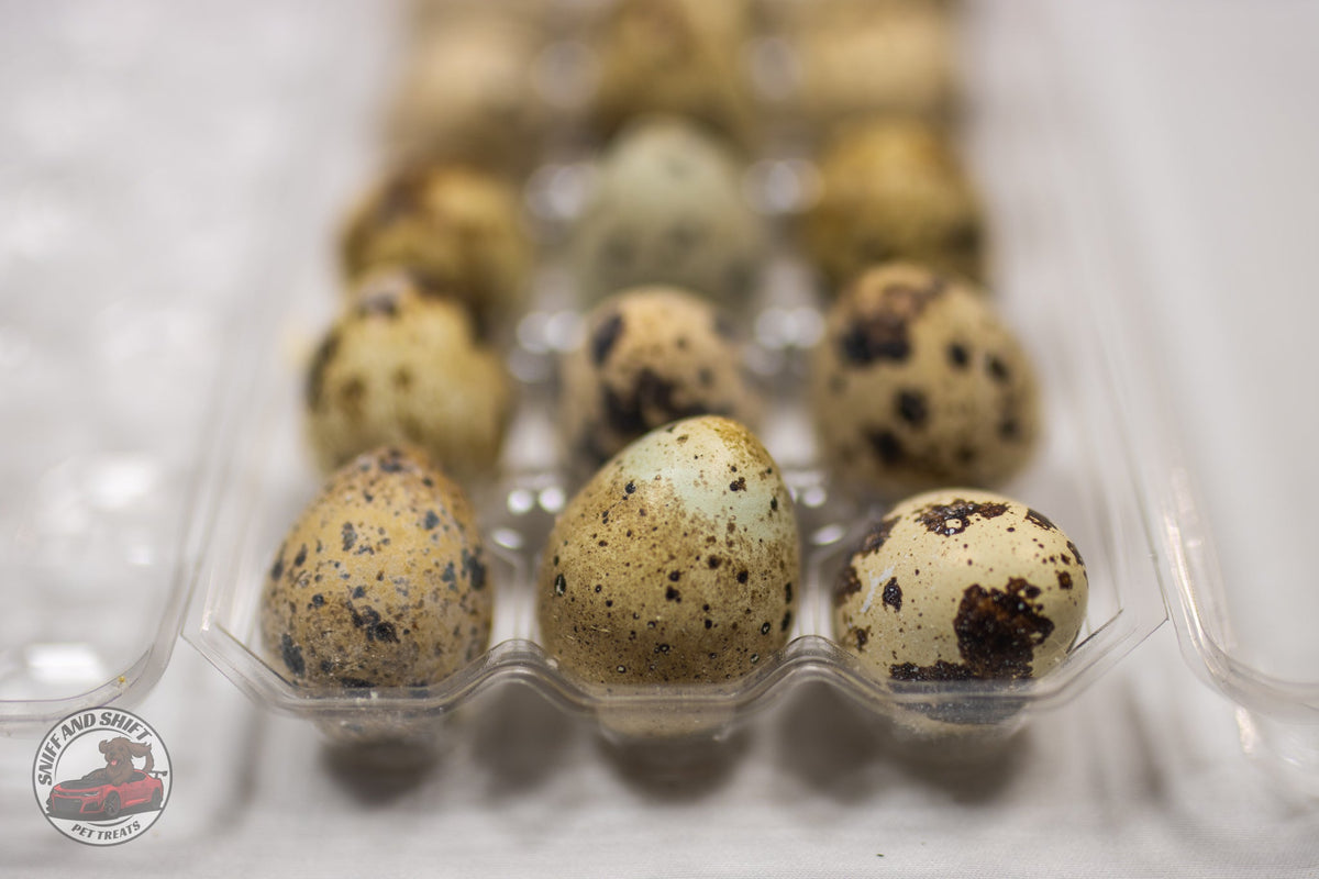 Freeze-Dried Whole Quail Eggs for Dogs and Cats