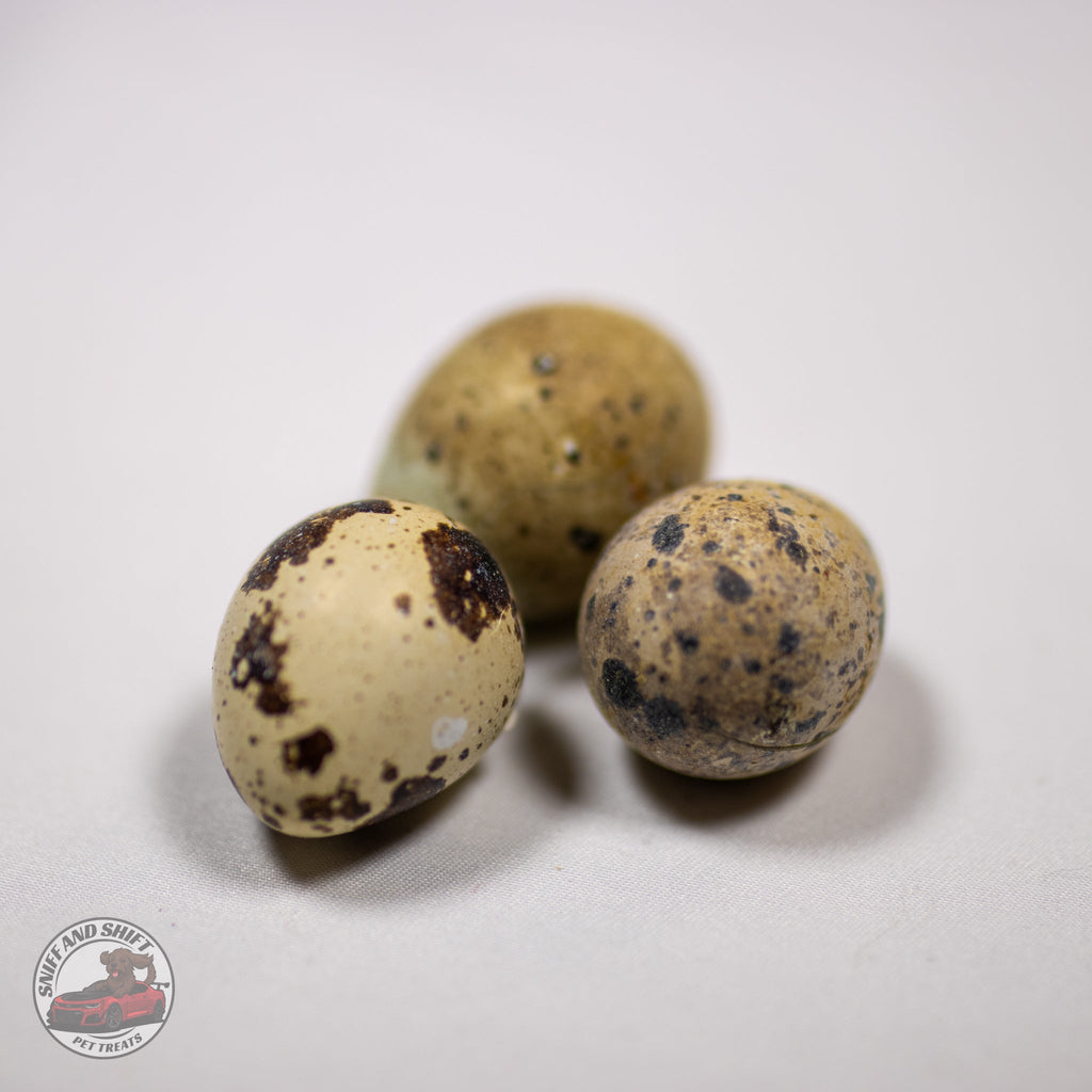 Freeze-Dried Whole Quail Eggs for Dogs and Cats