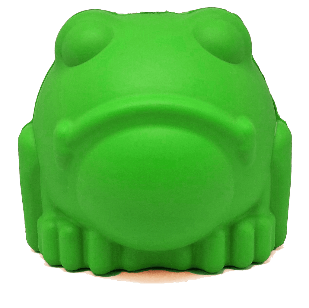 Bull Frog Treat Dispenser Chew Toy