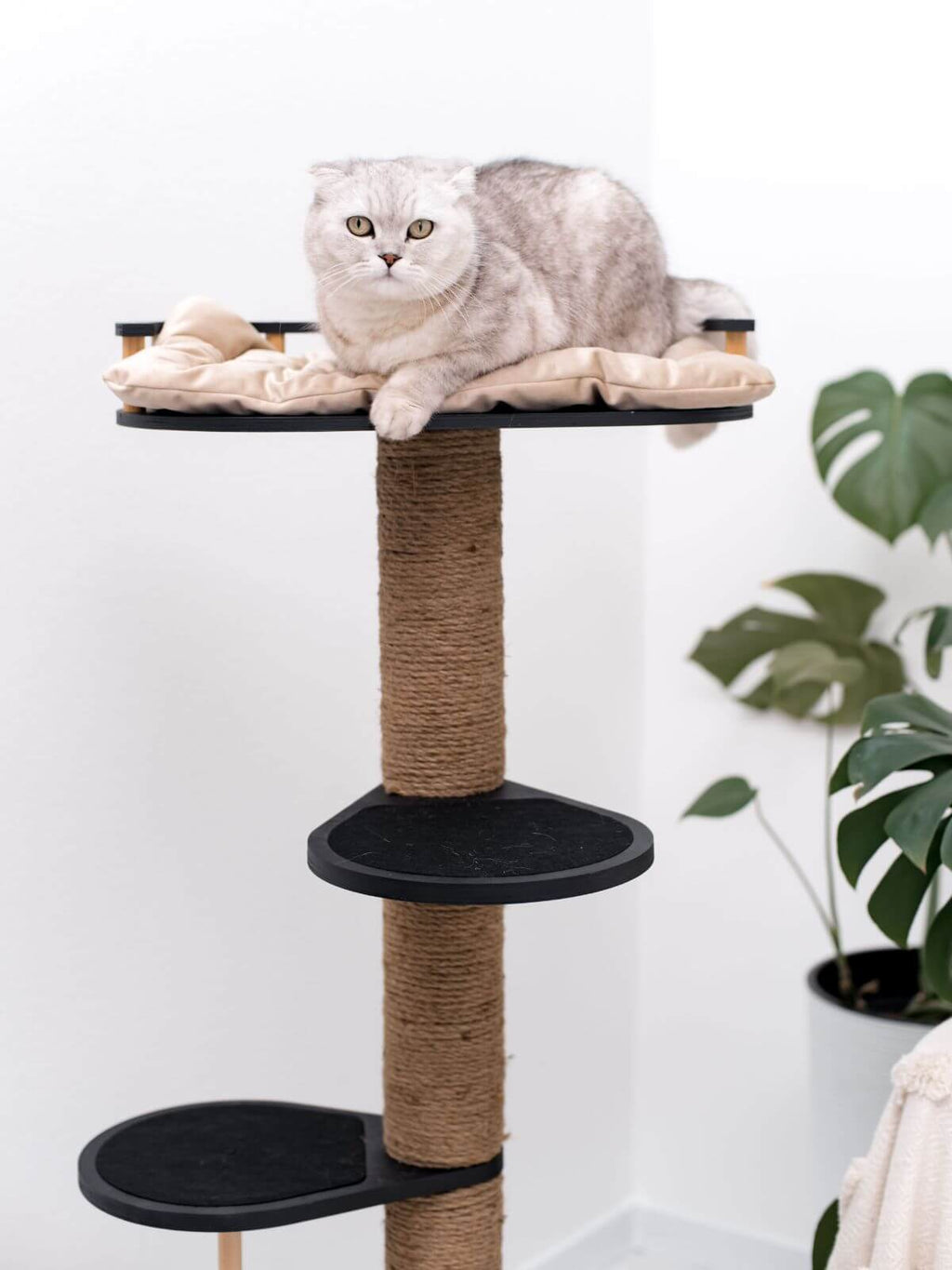 Wooden Cat Tree with Scratching Post and Cushion